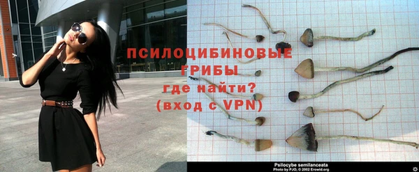 каннабис Аркадак